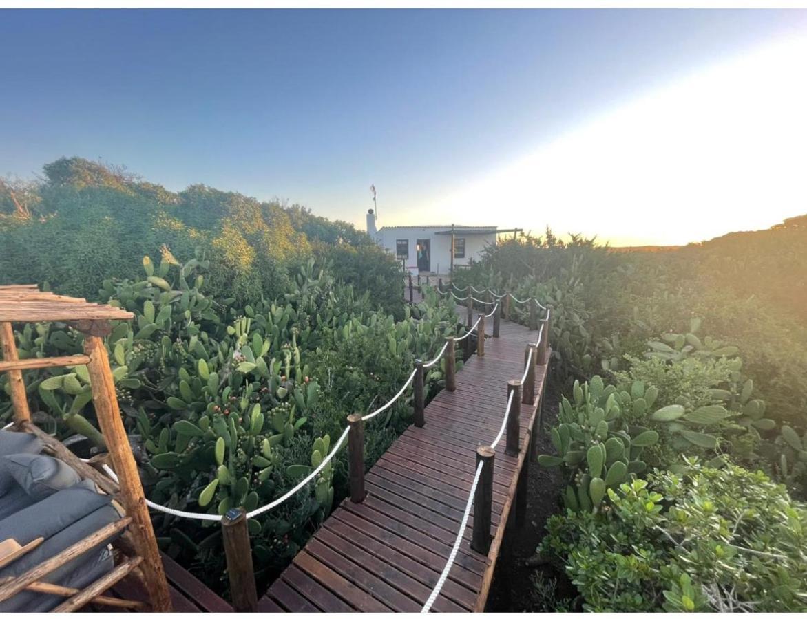 Ostrich Cottage At Les Wings Private Game Farm Groot-Jongensfontein Exterior foto